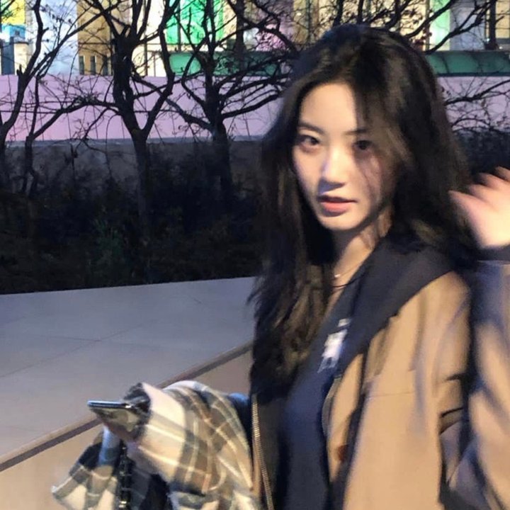 快乐的小鸡